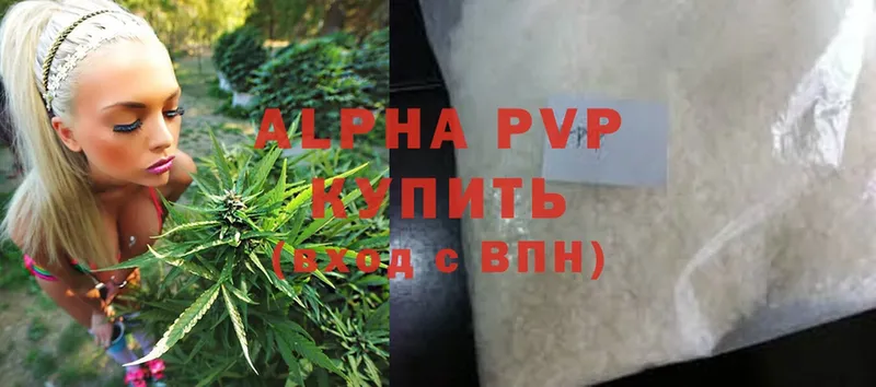 A PVP СК КРИС  Знаменск 